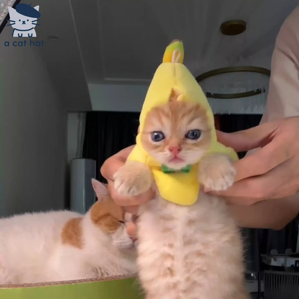 Disfraz de gato banana lindo