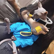 Dragon Ball Beerus der Zerstörer Kostüm