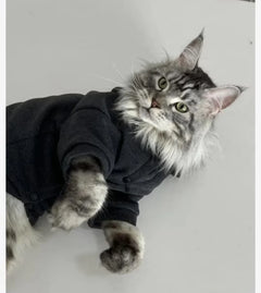 Hoodie Chat Noir Élégant