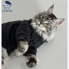 Hoodie Chat Noir Élégant