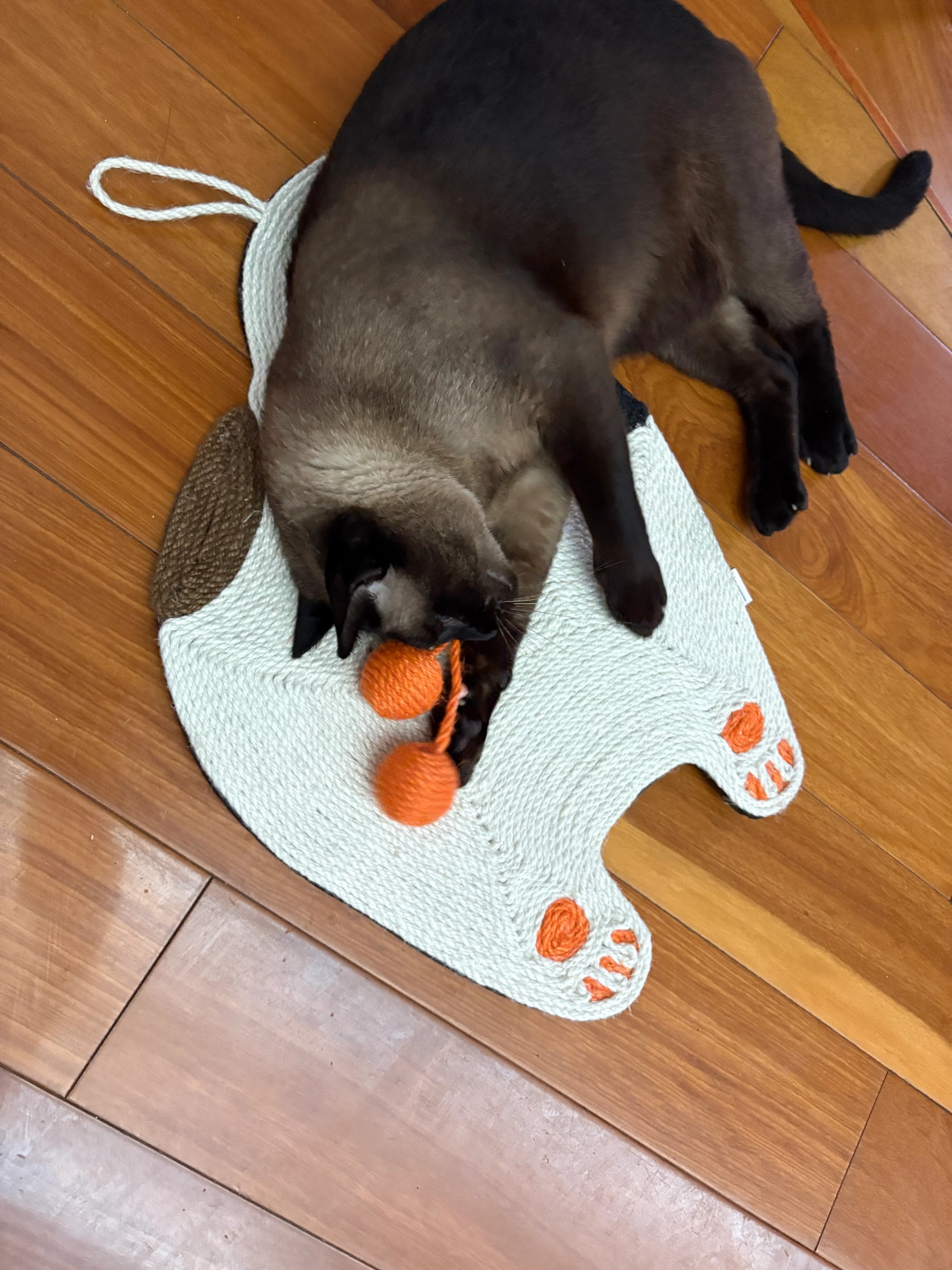 Rascador con forma de pelota para gatos 