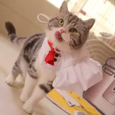 Chef Kitty Costume Set