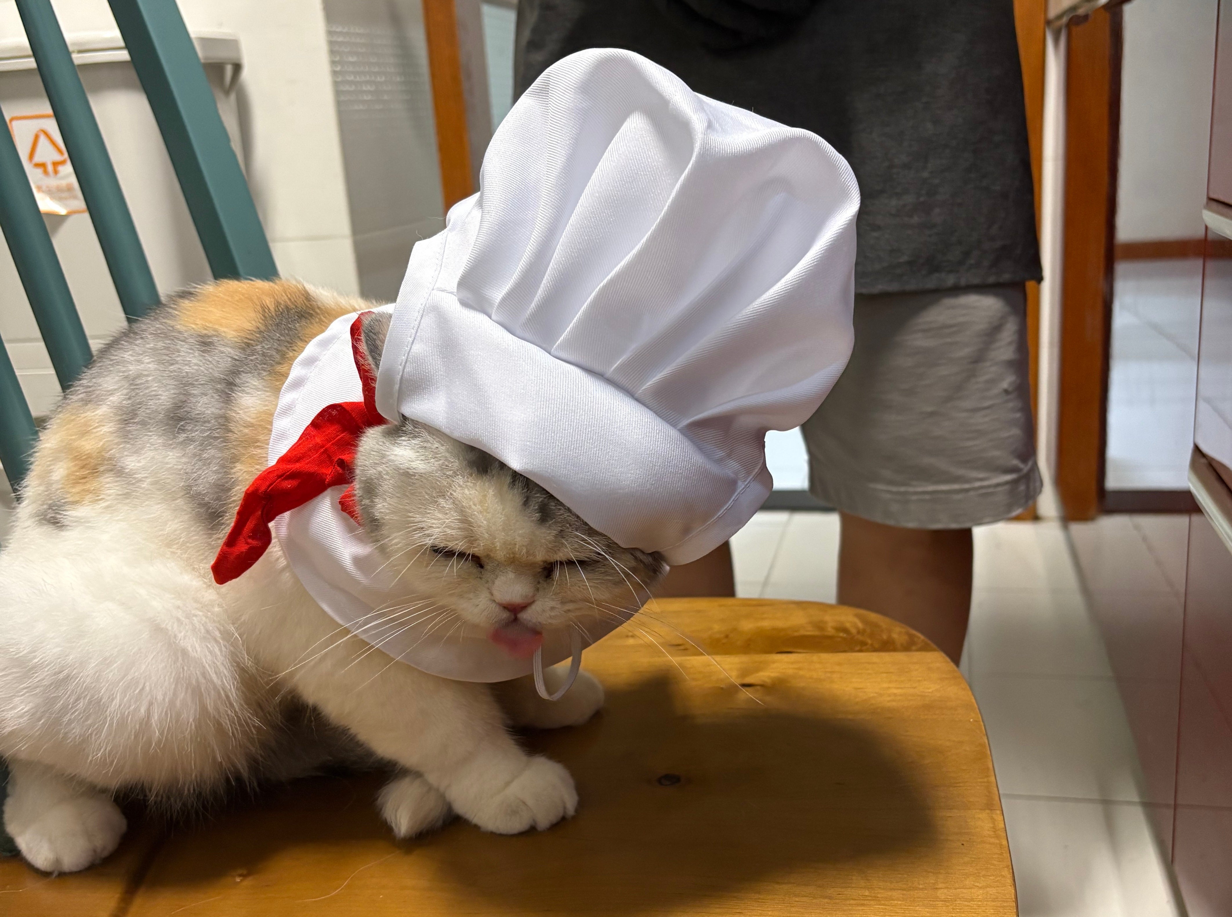 Chef Kitty Costume Set