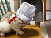 Koch-Kitty-Kostümset