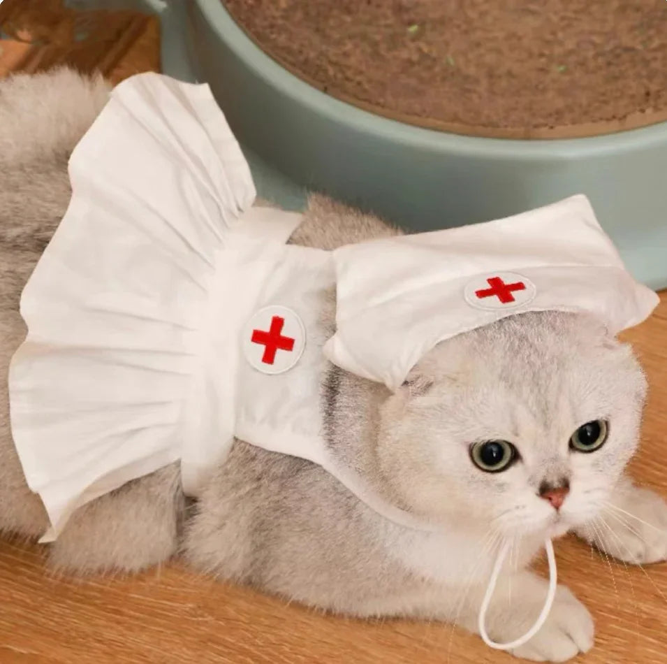 Uniforme de enfermera de gato