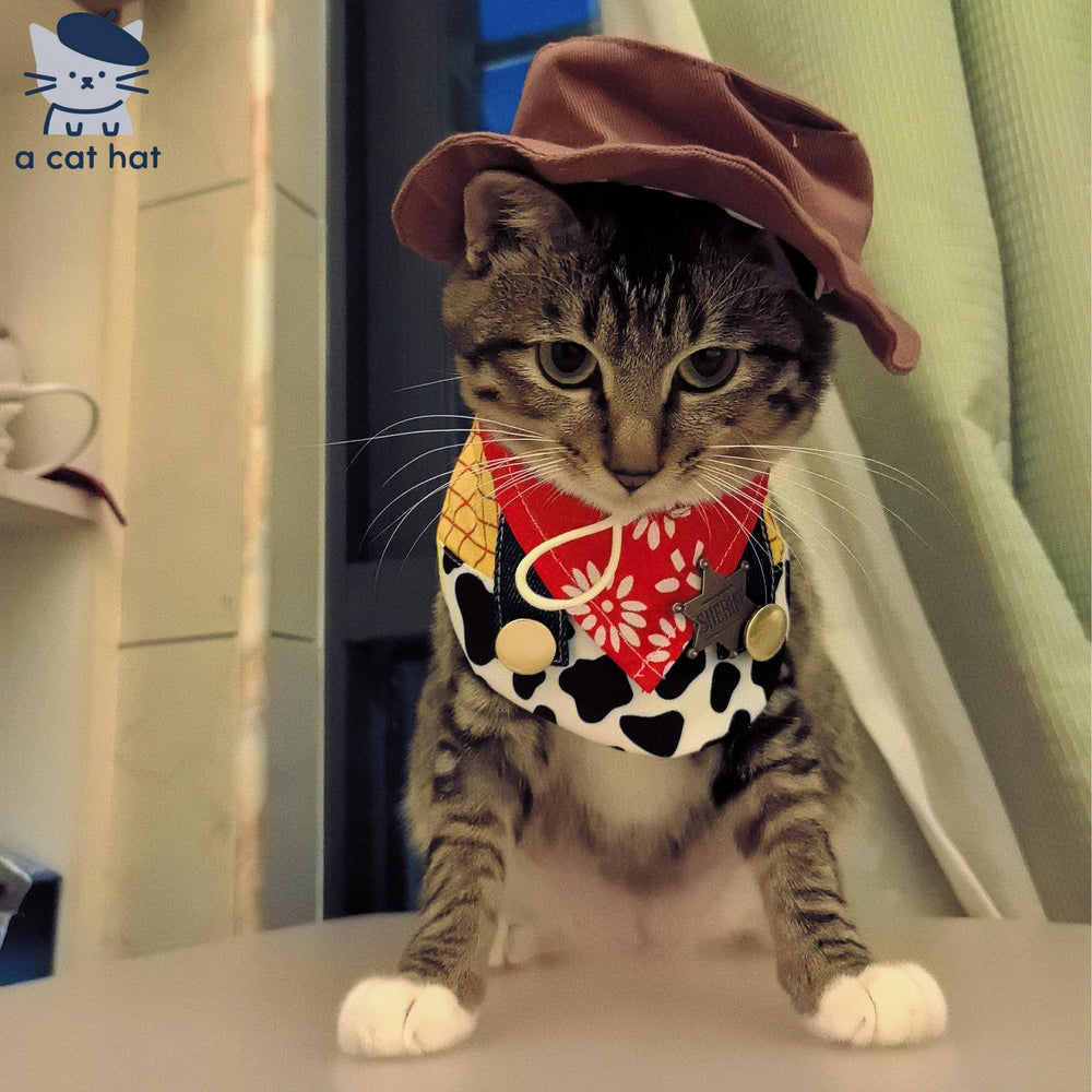 Cowboy-Sheriff-Set