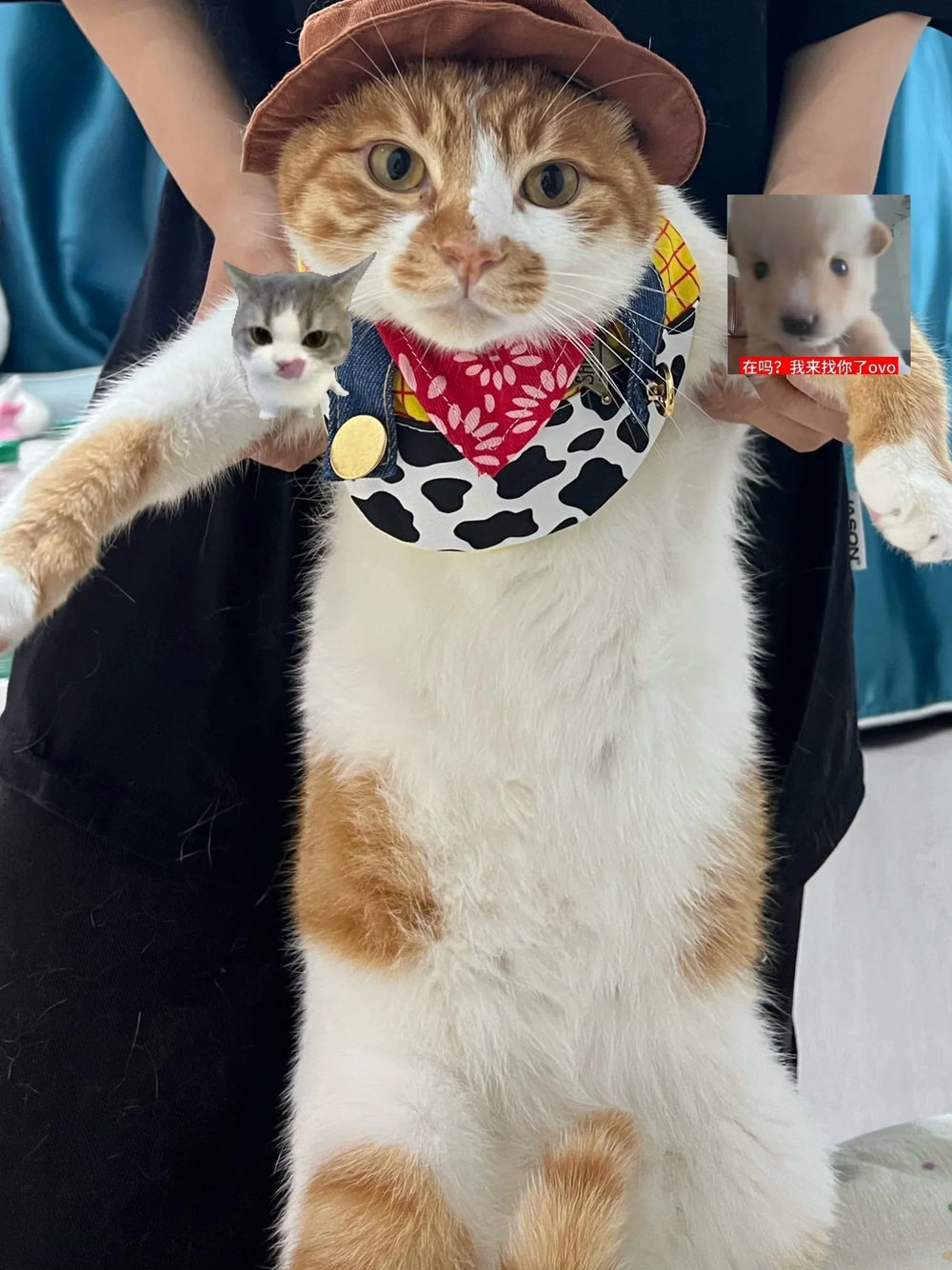 Cowboy-Sheriff-Set