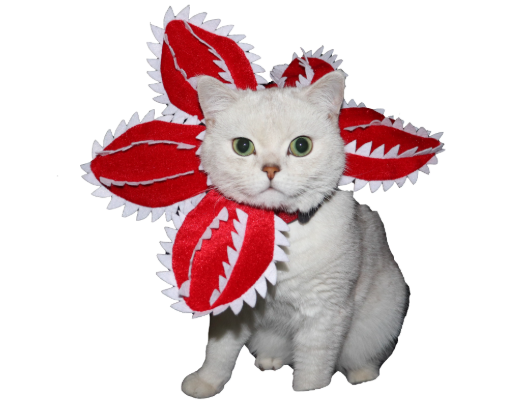 Demogorgon Pet Flower Collar