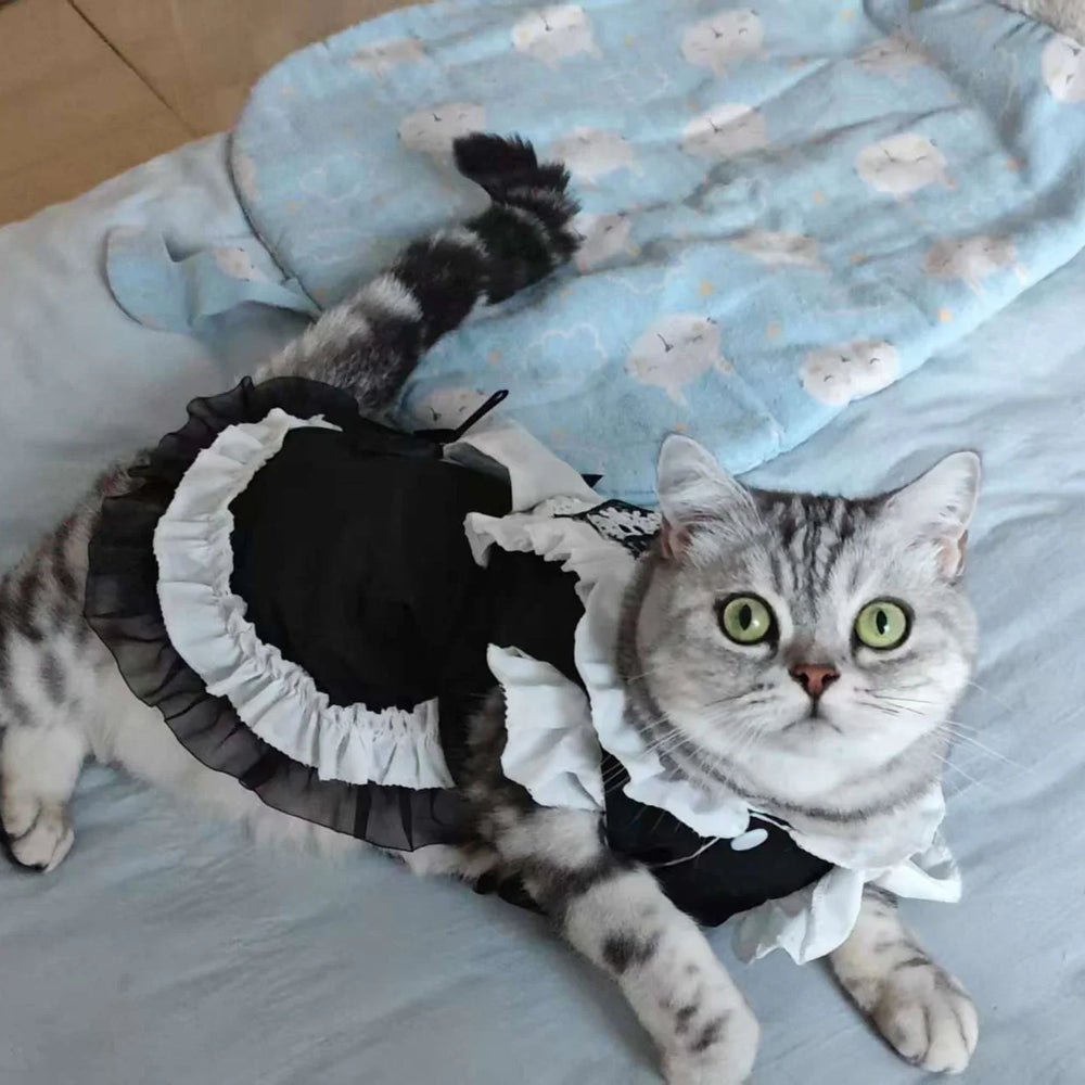 Katzenmädchenkostüm