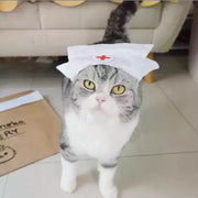 Uniforme de enfermera de gato