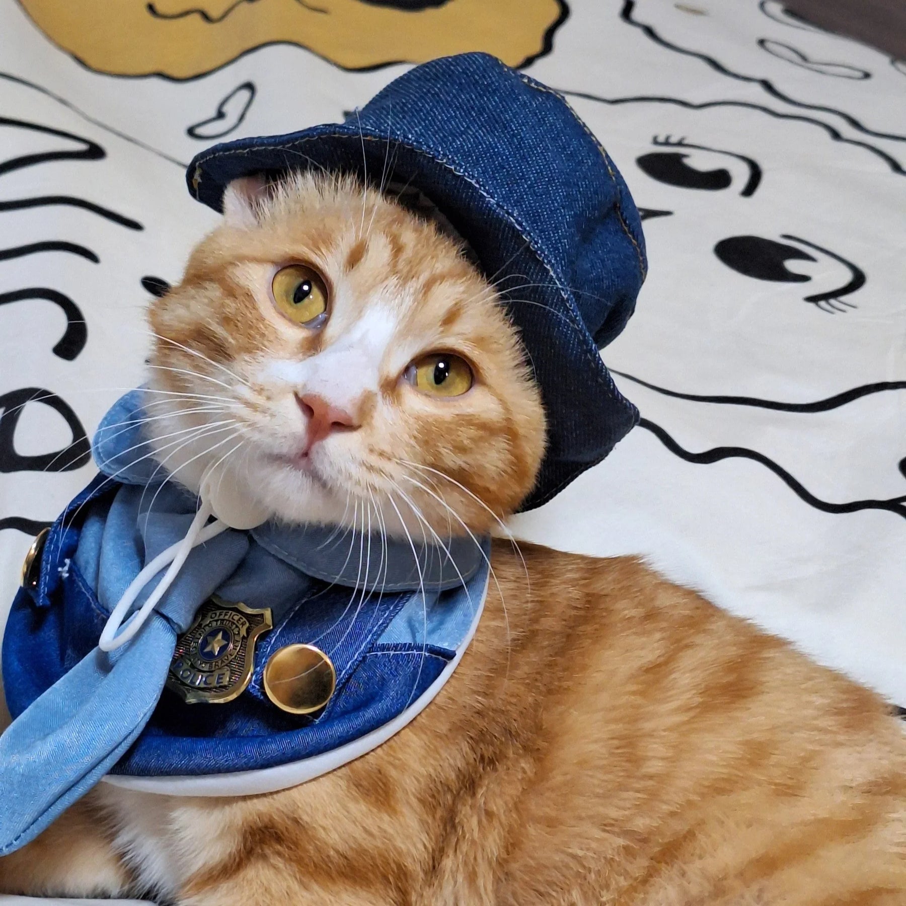 Officer Judy Set