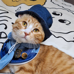Officer Judy Set