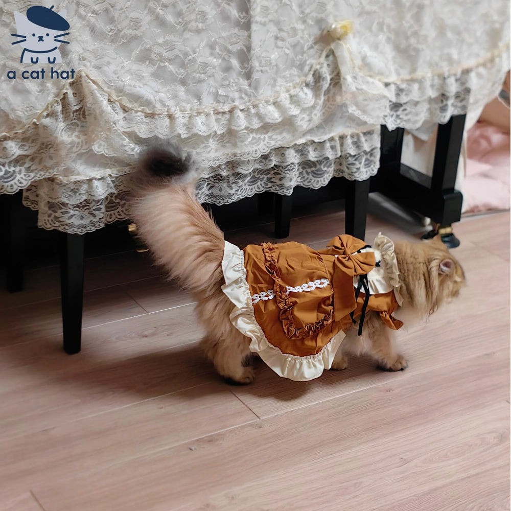 Vestido de princesa gata de finales de otoño