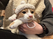Sombrero de aviador peludo con forma de gato