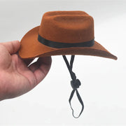 Katzen-Cowboy-Set