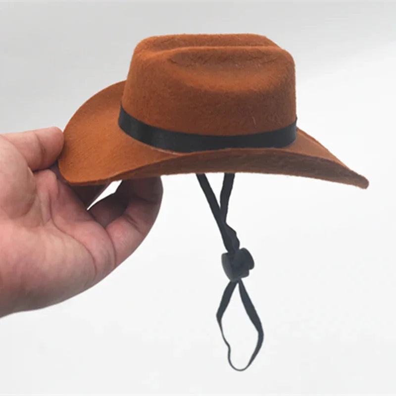 Katzen-Cowboy-Set