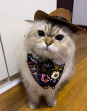 Katzen-Cowboy-Set