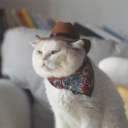 Katzen-Cowboy-Set