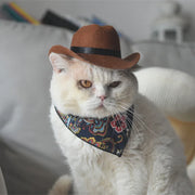 Katzen-Cowboy-Set