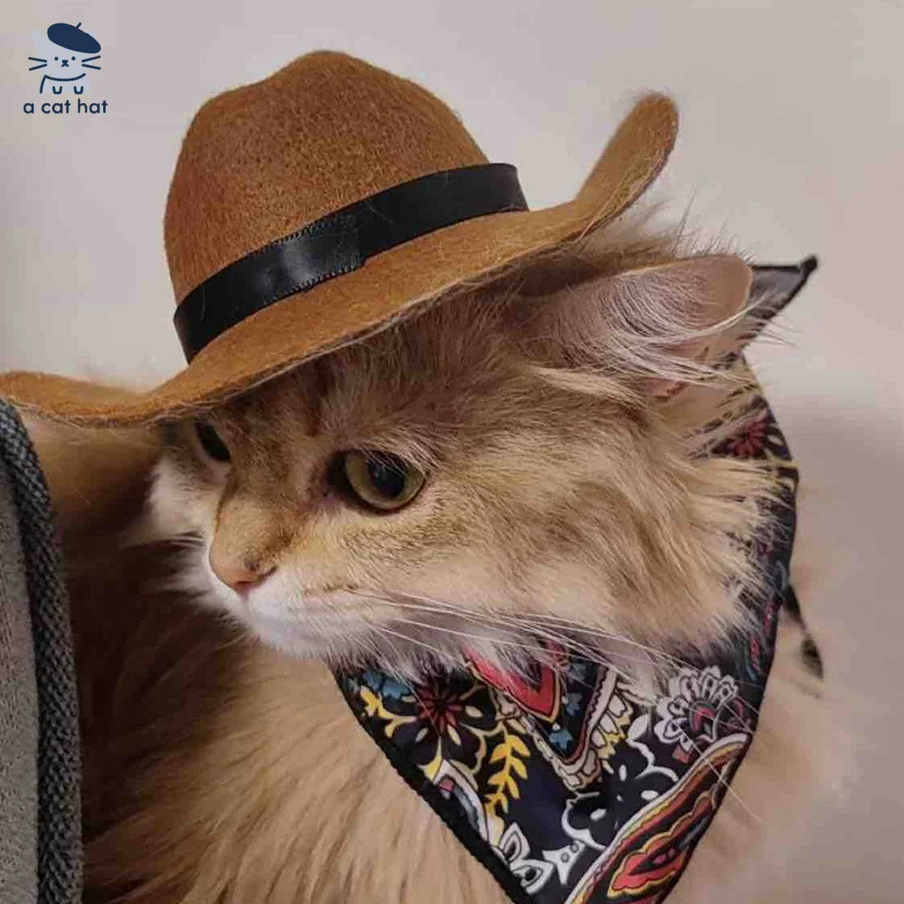 Katzen-Cowboy-Set