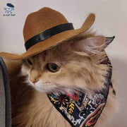 Katzen-Cowboy-Set