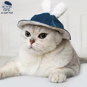 Lindo sombrero de conejo y gato