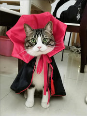 Vampirkatzen-Umhang