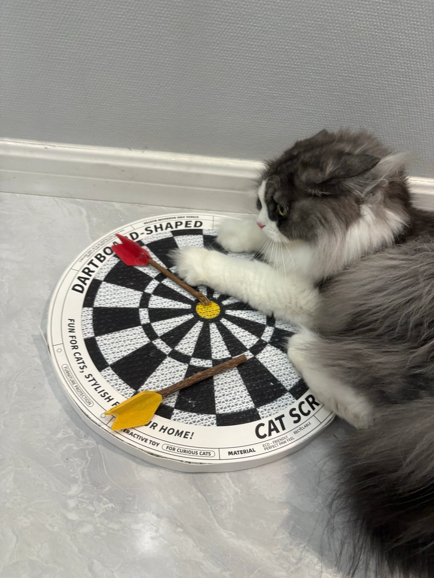 Dartscheibe - Katzenkratzbrett in Form einer Dartscheibe 