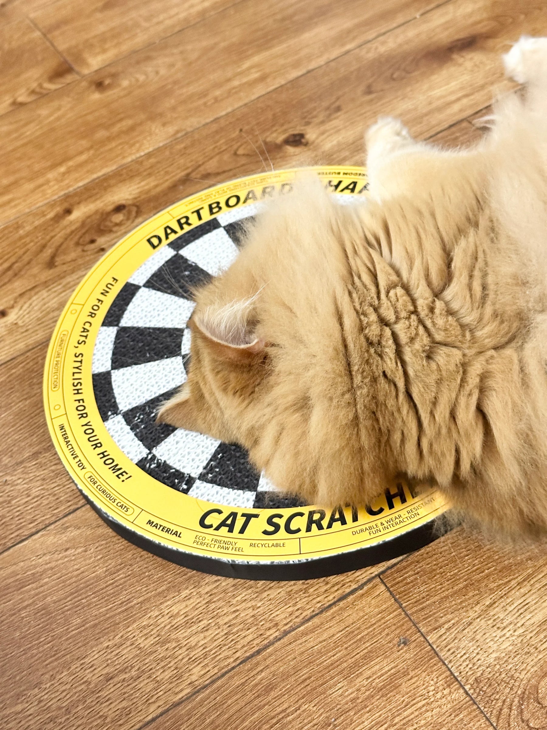 Dartscheibe - Katzenkratzbrett in Form einer Dartscheibe 