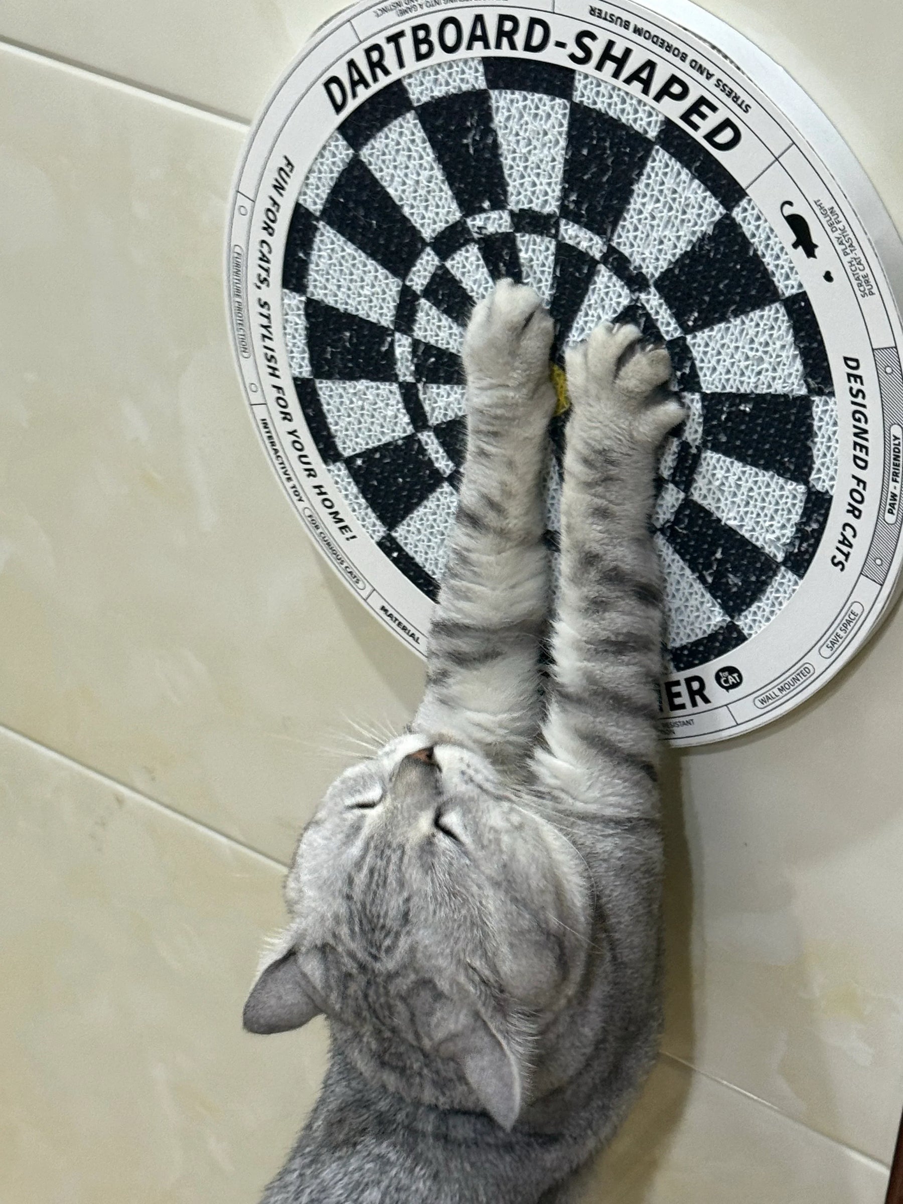 Dartscheibe - Katzenkratzbrett in Form einer Dartscheibe 