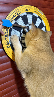 Dartscheibe - Katzenkratzbrett in Form einer Dartscheibe 