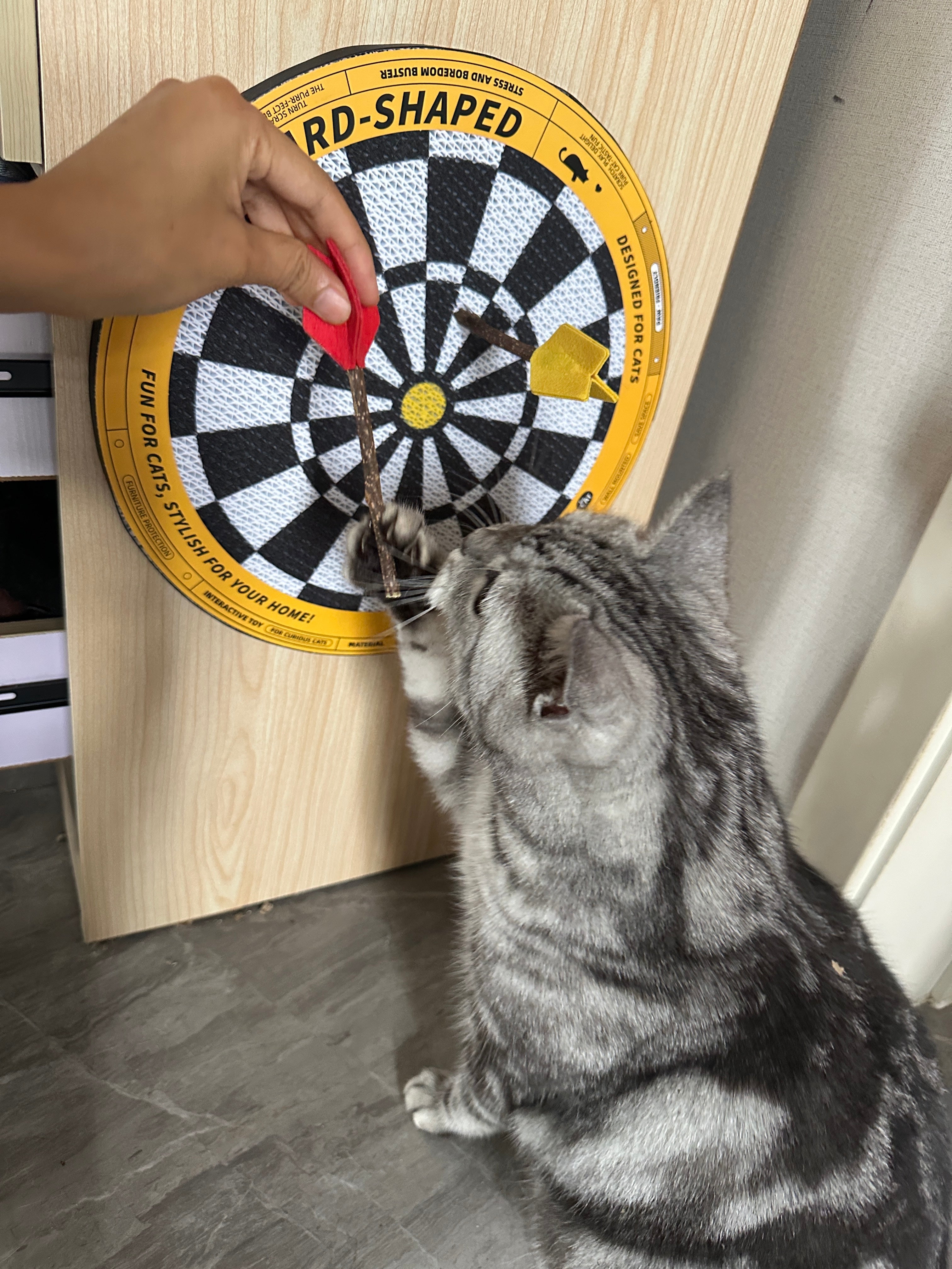 Dartboard - Shaped Cat Scratcher