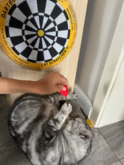 Dartscheibe - Katzenkratzbrett in Form einer Dartscheibe 