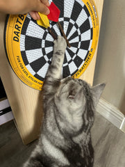 Dartscheibe - Katzenkratzbrett in Form einer Dartscheibe 