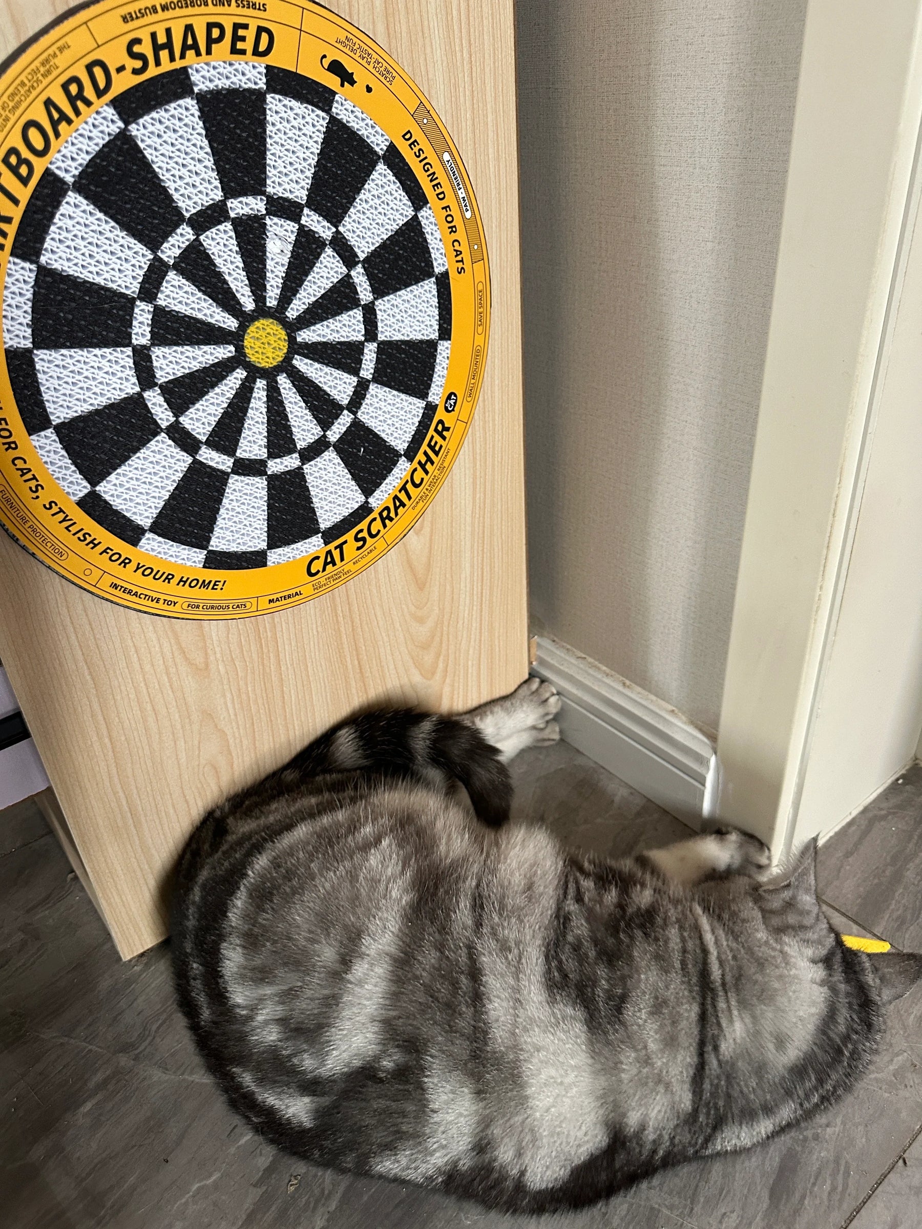 Dartscheibe - Katzenkratzbrett in Form einer Dartscheibe 