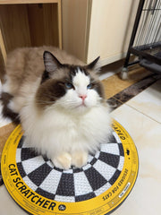 Dartscheibe - Katzenkratzbrett in Form einer Dartscheibe 