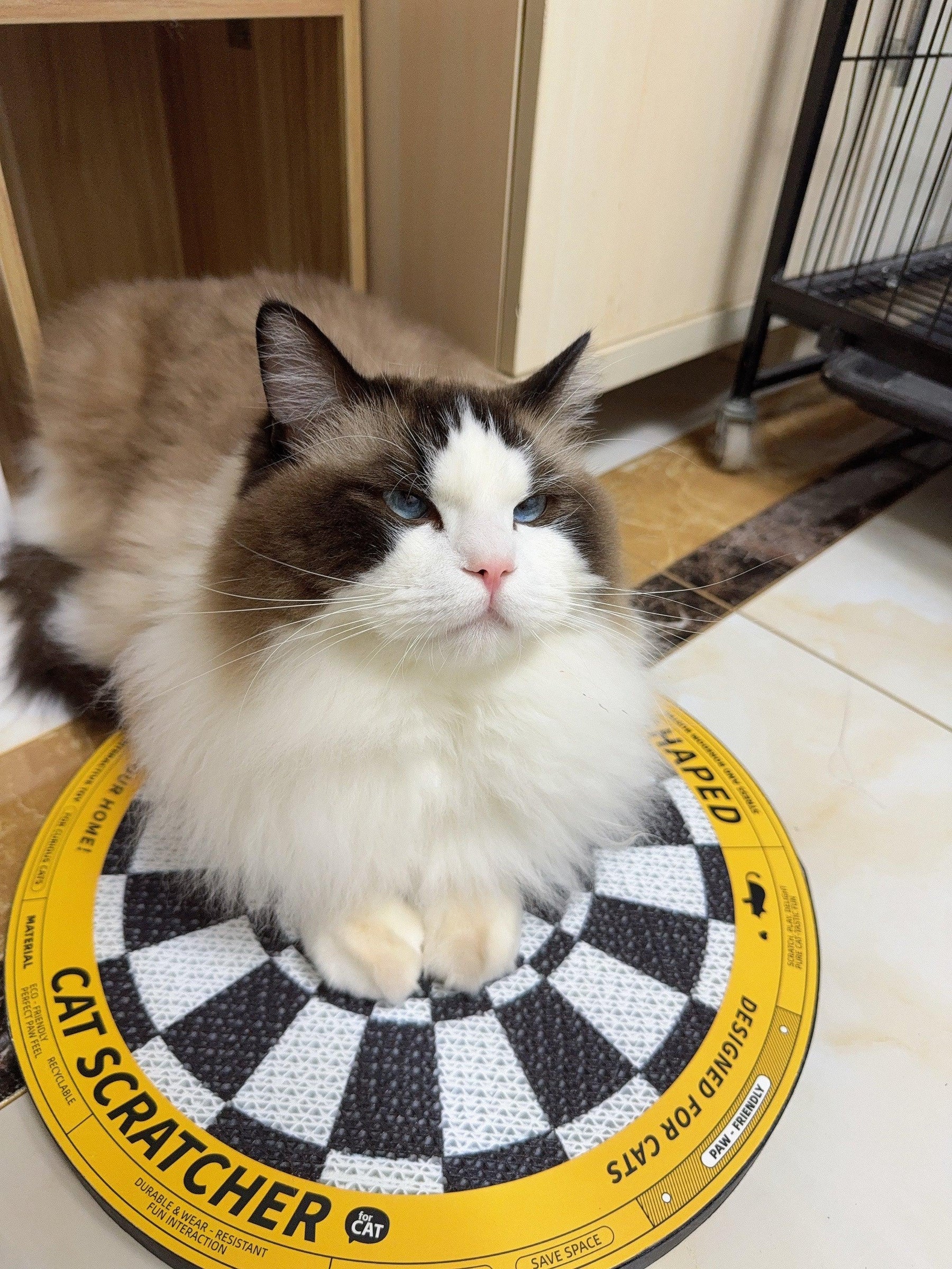 Dartscheibe - Katzenkratzbrett in Form einer Dartscheibe 