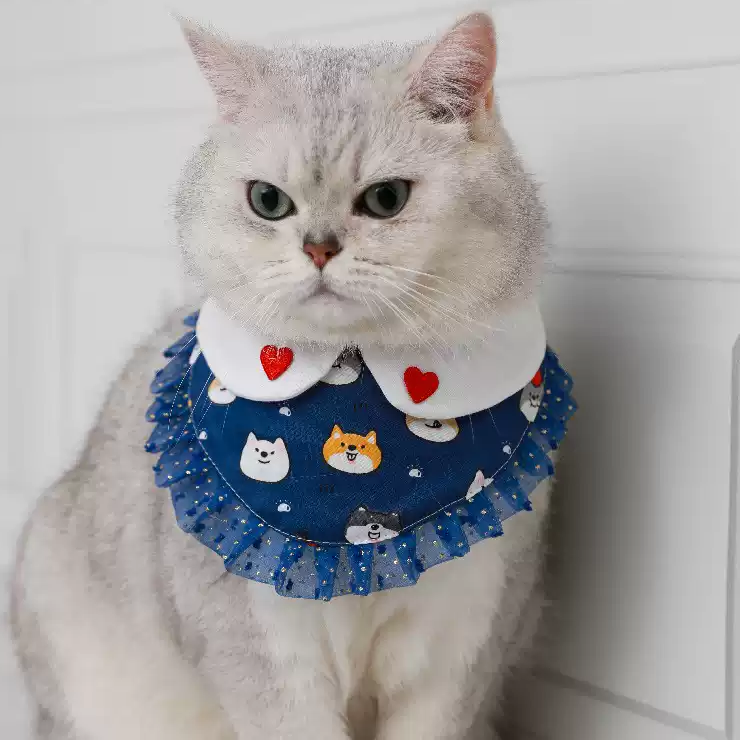 Dog - Print Bib Collar