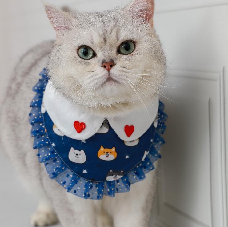 Dog - Print Bib Collar