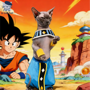 Dragon Ball Beerus der Zerstörer Kostüm