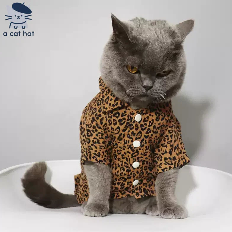 Camisa de leopardo con gato de moda