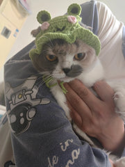 Gorro de punto de rana