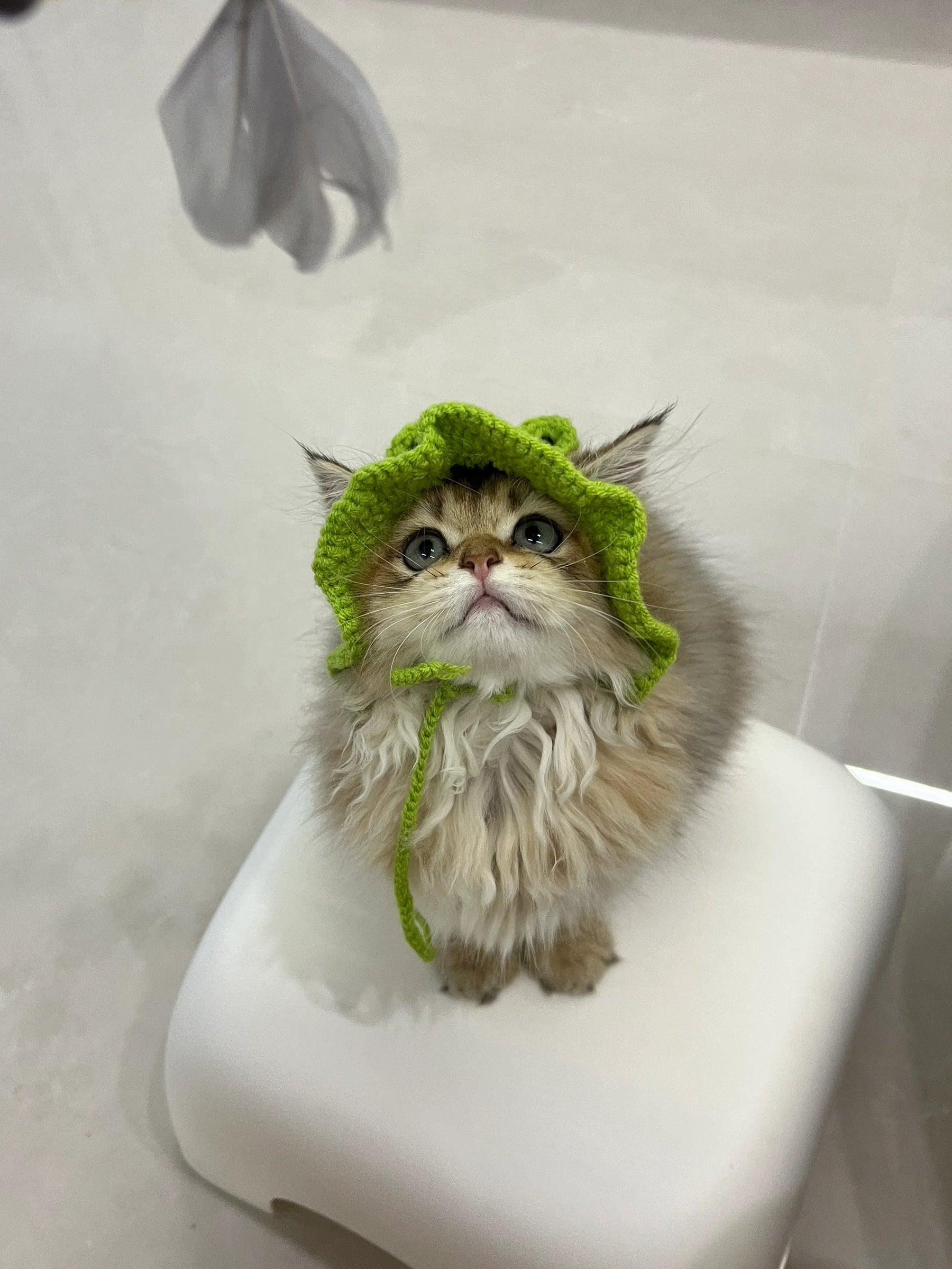 Gorro de punto de rana