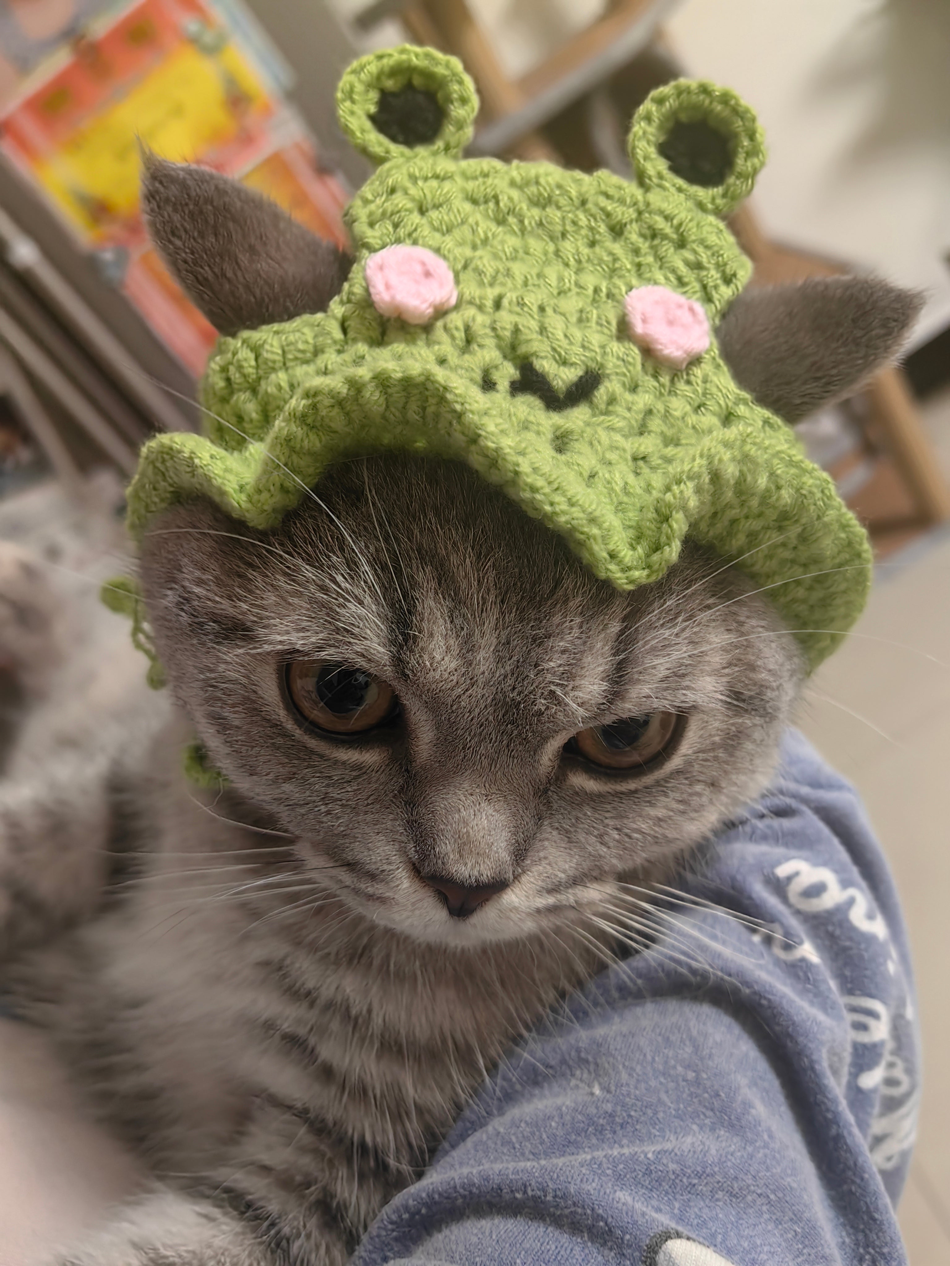 Frog Knit Hat
