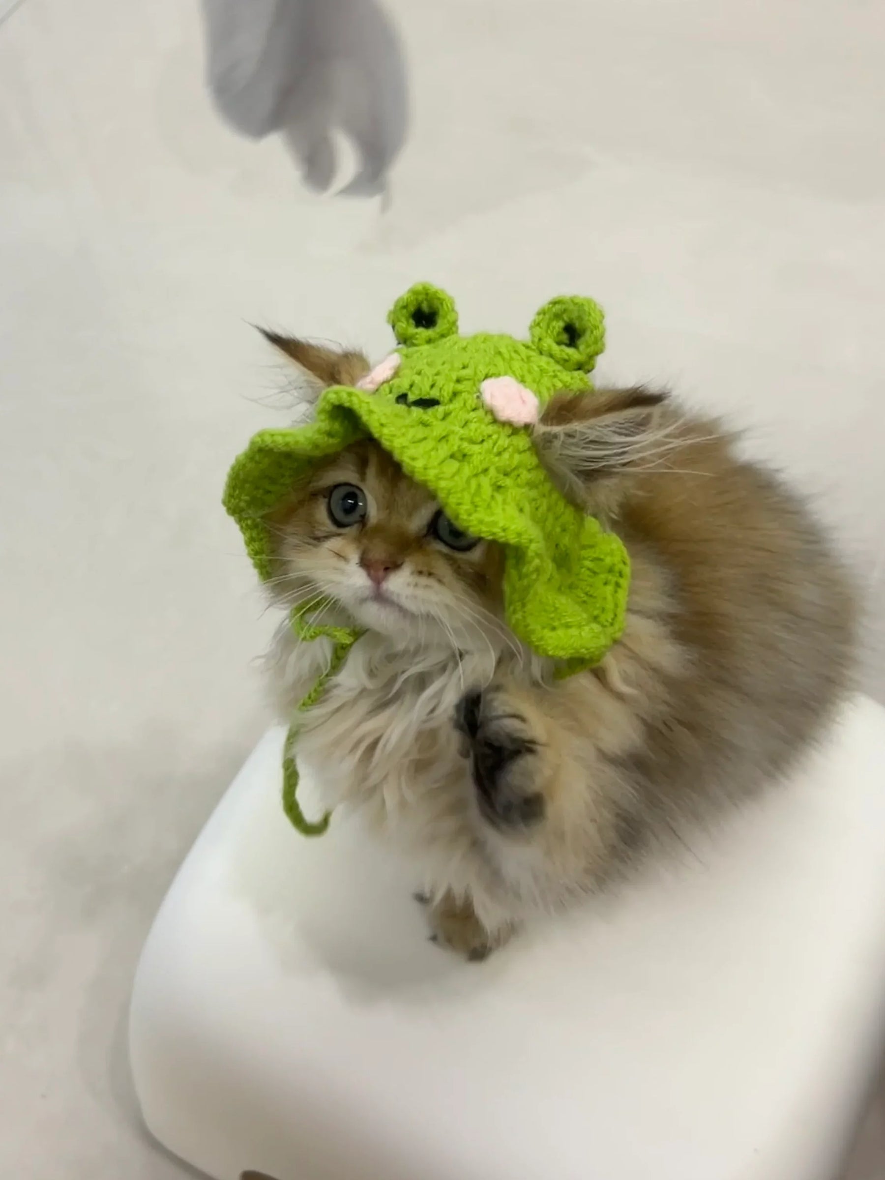 Gorro de punto de rana
