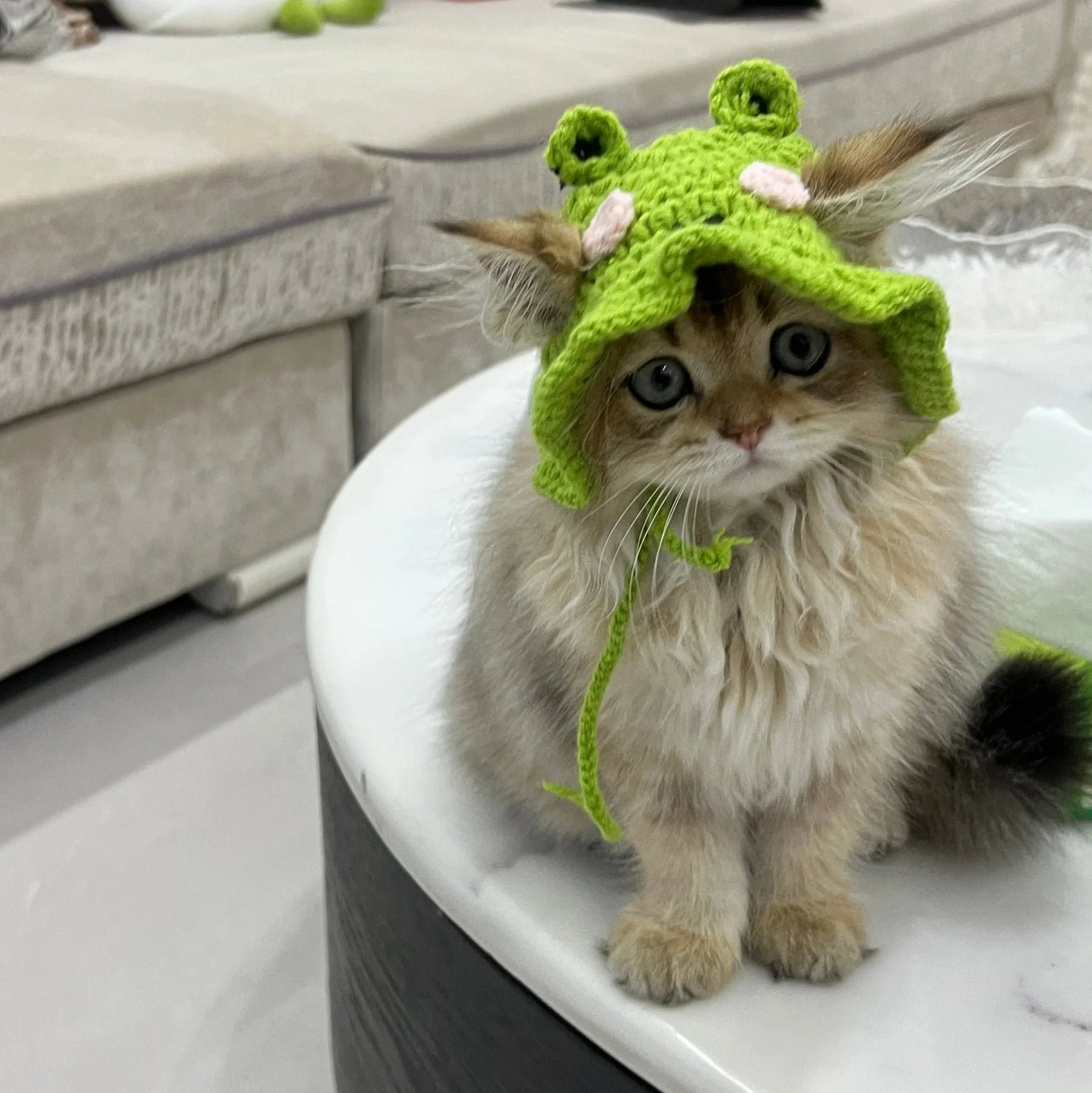 Gorro de punto de rana