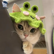 Gorro de punto de rana
