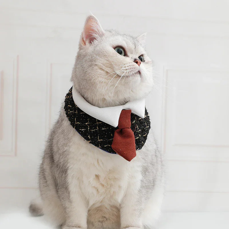 Gentleman Cat Plaid Fliege