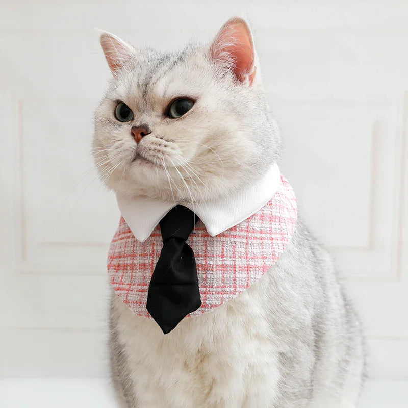 Gentleman Cat Plaid Fliege