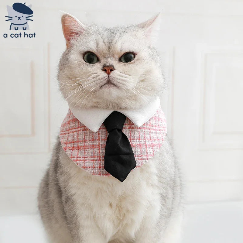 Pajarita a cuadros de gato de caballero